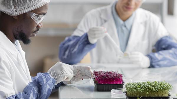 Diploma in Food Science and Drugs (TVEC)