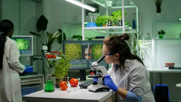 BSc in Food Science and Drugs - 12 months (Azteca University)