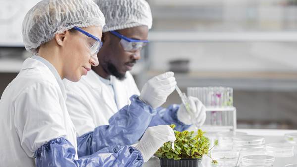 BSc in Food Science and Drugs - 18 months (Azteca University)