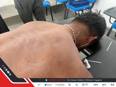 Workshop Gallery Image