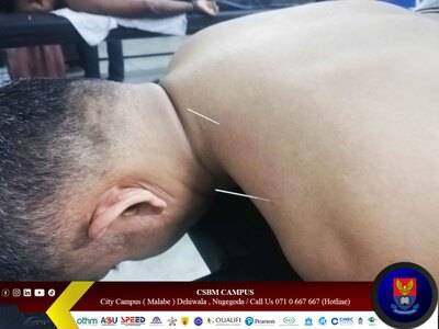 Workshop Gallery Image